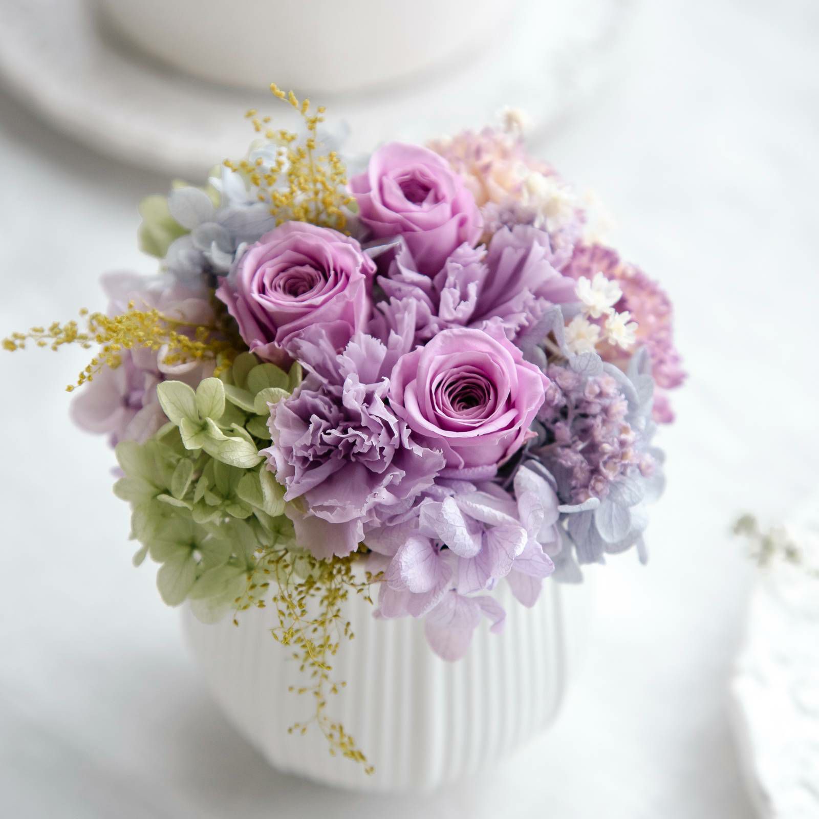 アクアレル(M)/ヴィオレ | noemie（ノエミ）